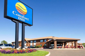 Comfort Inn Swift Current, Swift Current